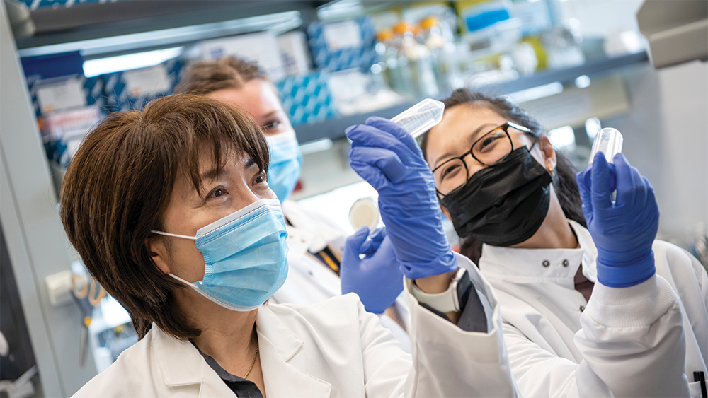 Professor Jiyoung Lee and graduate students in her water quality testing lab in the College of Public Health
OSAM Learning Spaces