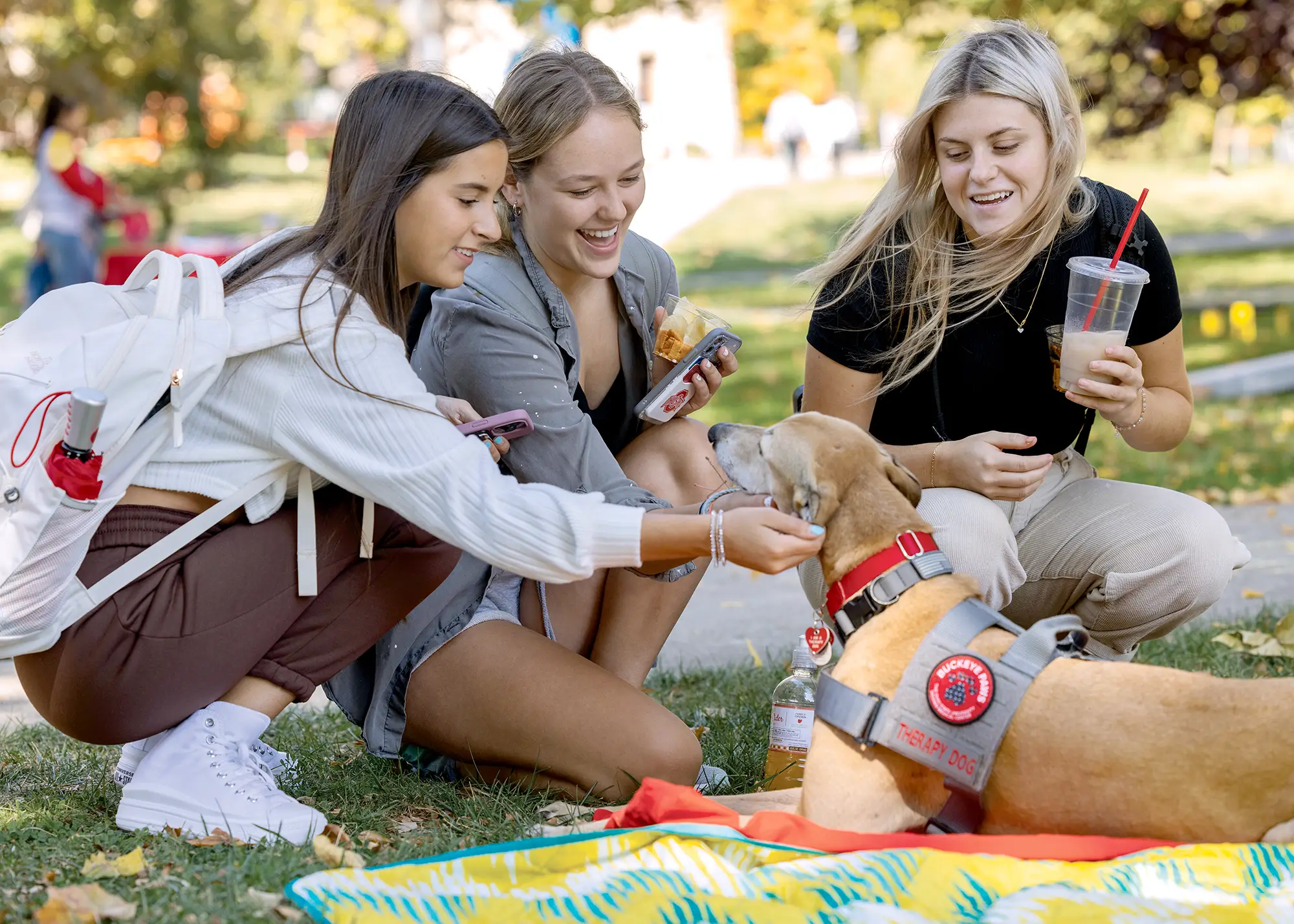 Three smiling young women crouch on the grass outdoors, petting a light brown therapy dog wearing a grey harness.